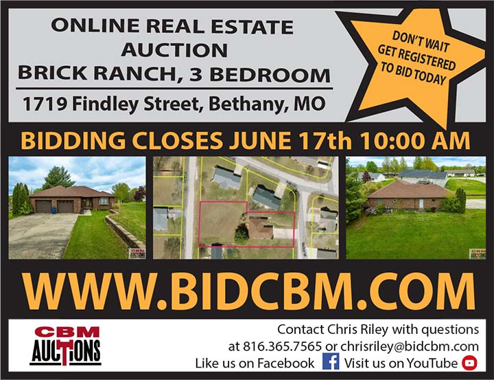 CBM Auctions 06/17