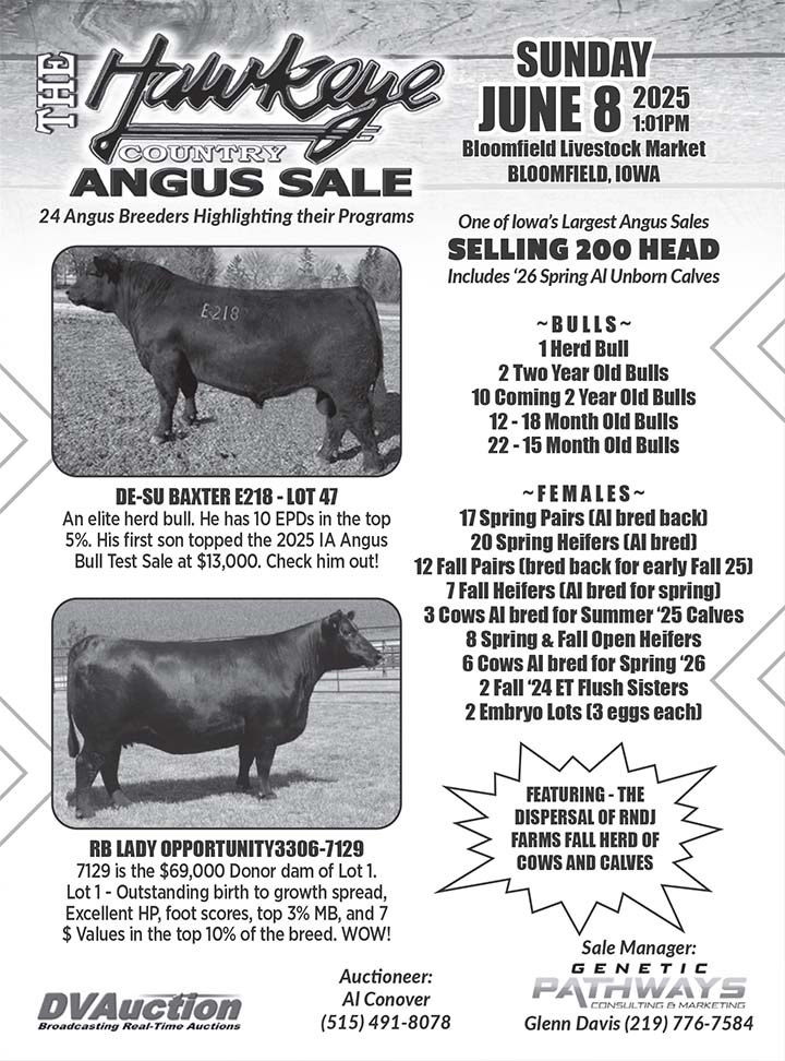 Conover Auction 06/08